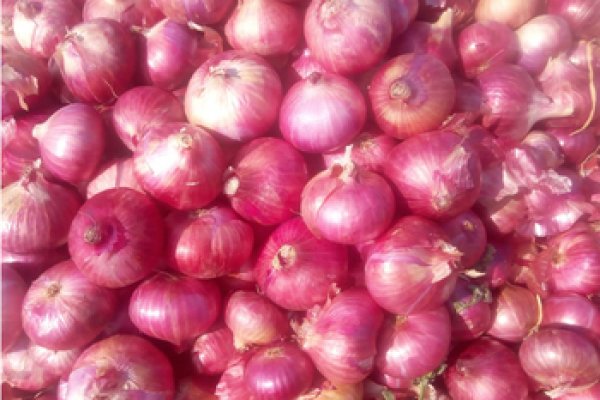 Http hydraruzxpnew4af onion market 5076